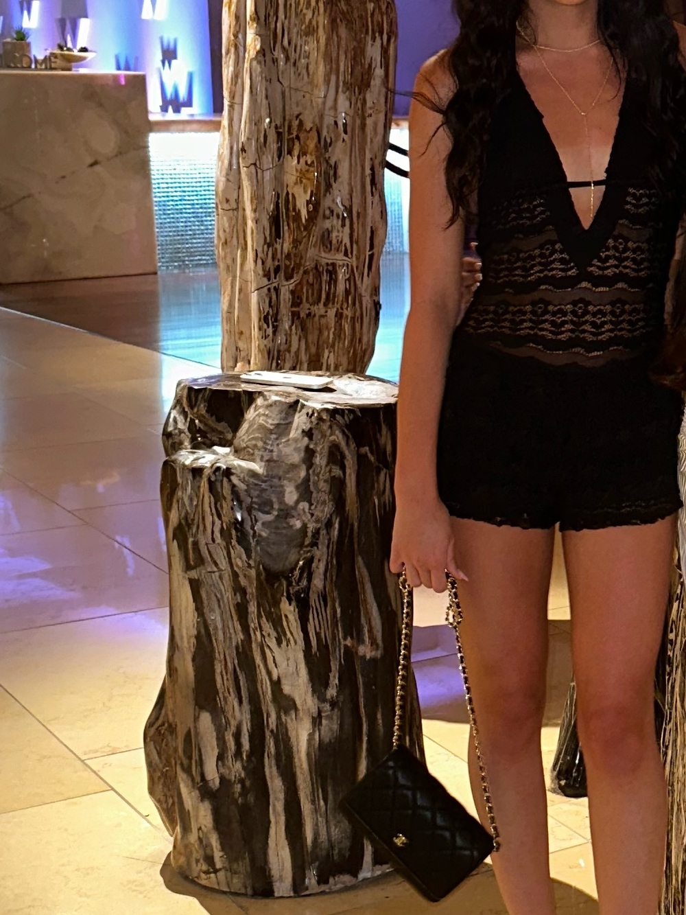 Edikted Black Lace Mesh Maxi Skirt